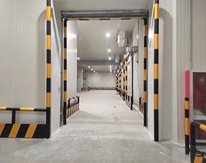 新疆2000平速凍食品冷庫造價多少錢?