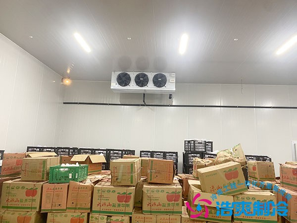 建一個水果冷庫需要多少錢？