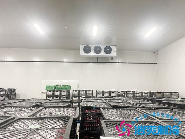 不同規(guī)格水果保鮮冷庫建造