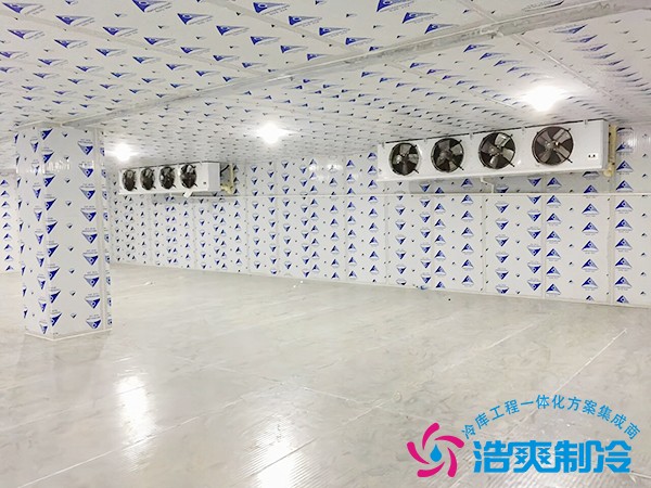 西紅柿保鮮冷庫造價預(yù)算