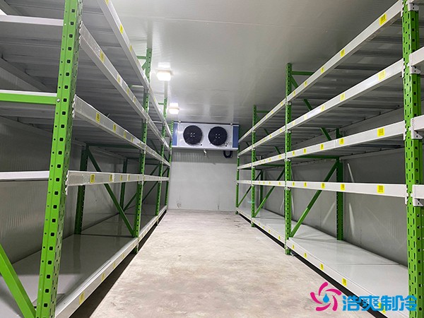 江浙滬50噸冷藏庫建造價格