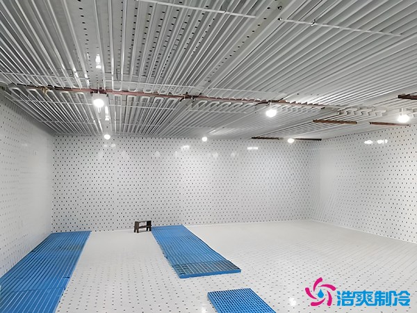 建個(gè)冷凍庫(kù)要多少錢(qián)？冷凍庫(kù)每平方米的造價(jià)標(biāo)準(zhǔn)