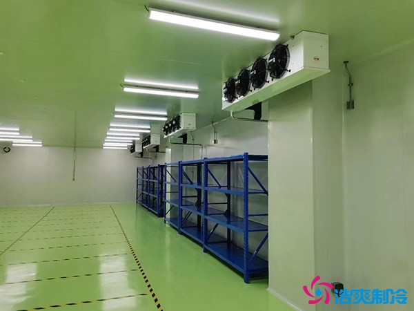 儲存疫苗的企業(yè)獨立冷庫有幾個？生物疫苗冷庫造價