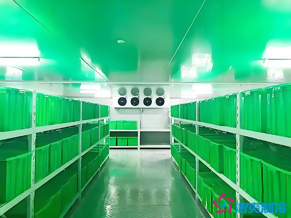 藥品批發(fā)企業(yè)冷藏庫平方面積要求多少？1000平藥企冷庫造價