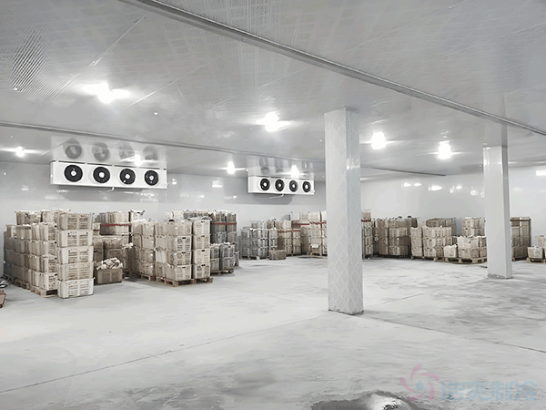 高標(biāo)準(zhǔn)冷庫建設(shè)多少錢一平方？