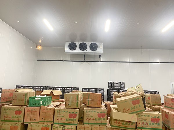 水果冷庫(kù)存儲(chǔ)溫度,建造水果保鮮冷庫(kù)造價(jià)