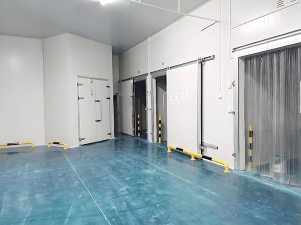 上海生物醫(yī)藥冷庫安裝造價多少錢？