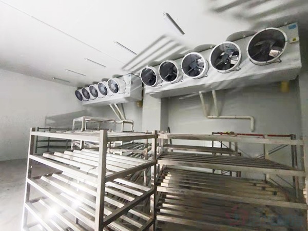 建造1000立方冷凍庫(kù)配多大壓縮機(jī)？造價(jià)預(yù)算多少錢？