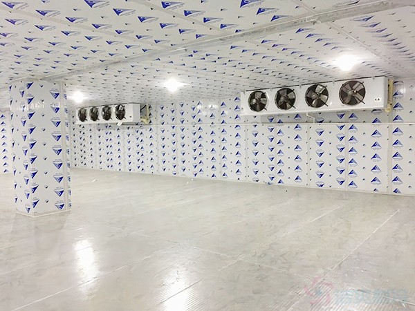 建一個冷凍庫造價需要多少錢一平方？