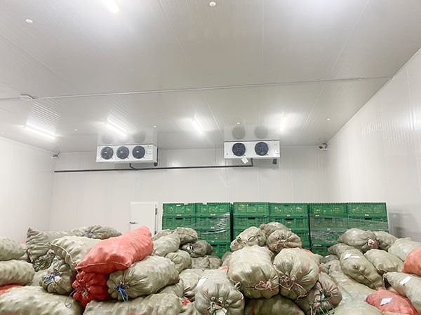 影響蔬菜保鮮冷庫建造價格的因素有哪些？