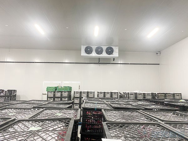 金針菇冷庫和香菇冷庫建造價(jià)格是如何計(jì)算的?