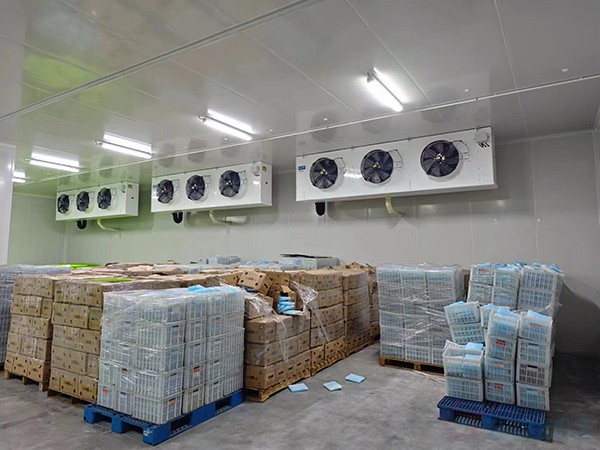 大型工業(yè)藥品冷庫建設(shè)安裝價格大概多少錢？