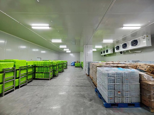 大型工業(yè)藥品冷庫建設(shè)安裝價格大概多少錢？