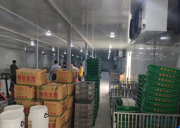 2000平米土豆冷庫竟要200多萬？揭秘氣調(diào)保鮮庫天價背后！