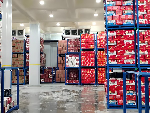 荔枝冷庫(kù)造價(jià)