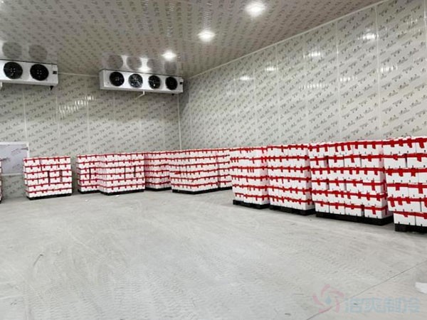 400平米冷庫造價預算