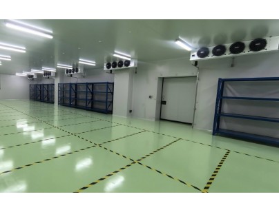 成都康諾亞一橋生物科技公司創(chuàng)新醫(yī)藥冷庫建設工程案例