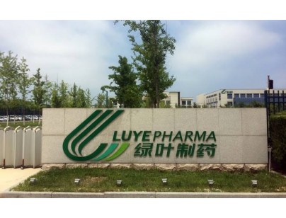 山東綠葉制藥6900立方米自動(dòng)化高架陰涼庫(kù)建設(shè)工程案例