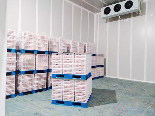 湖南果蔬氣調保鮮冷庫設計