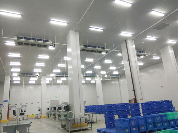 浙江海鮮冷庫安裝造價