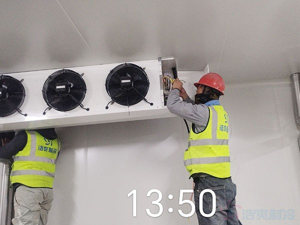 江西小型肉品冷庫(kù)保養(yǎng)