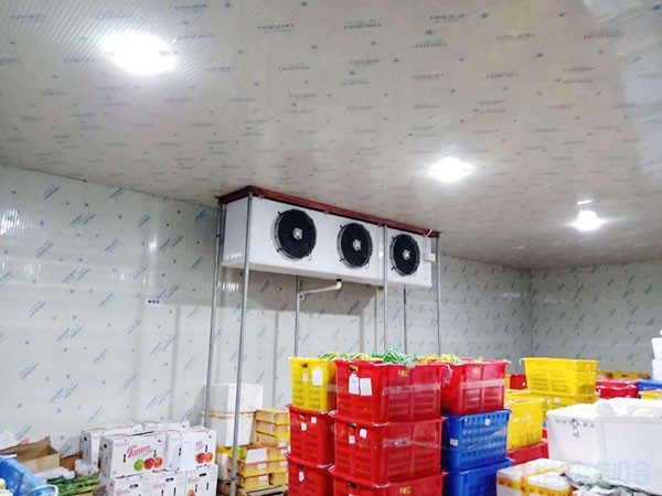 福建生鮮果蔬冷庫造價表