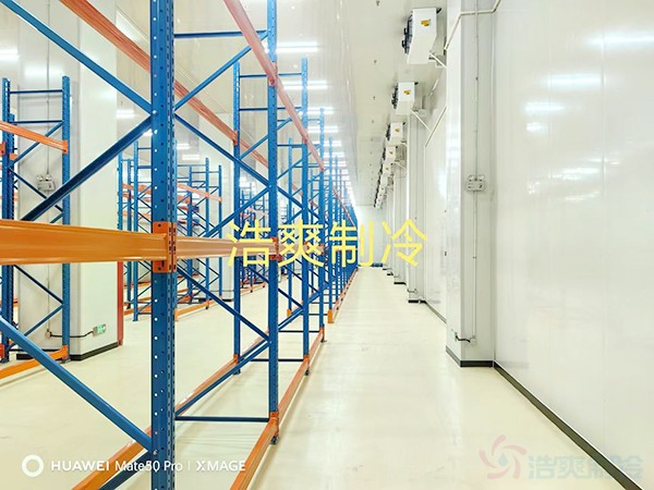 河北2-8℃醫(yī)藥標(biāo)準(zhǔn)冷庫設(shè)計多少錢？
