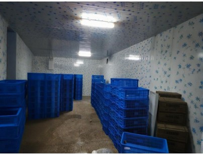 云南保山(食用菌）羊肚菌烘干房設計建造案例