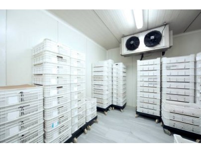 浙江仙居股份經(jīng)濟合作社羊肚菌氣調(diào)保鮮冷庫建造工程案