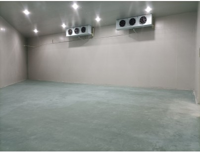 湖州練美農(nóng)業(yè)果蔬產(chǎn)地型氣調(diào)冷庫建造工程案例