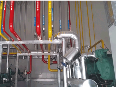 杭州百草味62,588立方米大型食品加工配套冷庫(kù)工程案例