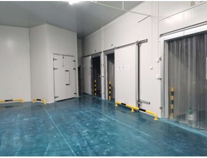 伊利乳業(yè)高標準乳制品加工冷鏈倉儲冷庫建造工程案例