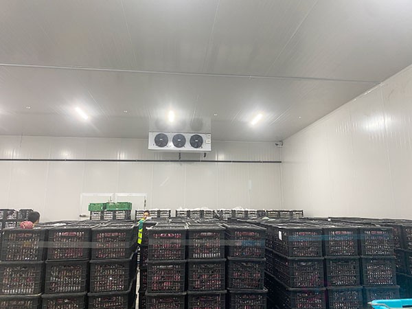 50噸蘋果冷庫(kù)建設(shè)