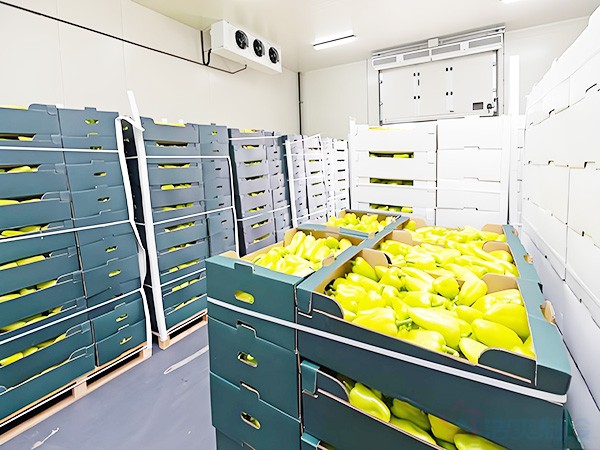 保鮮庫(kù)造價(jià)