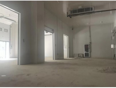 廣西大化起點農牧2000m3畜禽肉類屠宰加工冷鏈中心建造冷庫工程案例