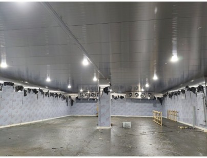 浙江省寧波市余姚創(chuàng)豐毛皮制品1206m3原料儲(chǔ)藏冷庫工程案例