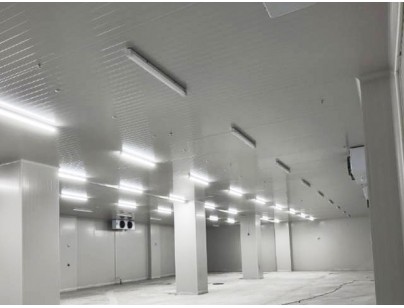 內(nèi)蒙古聯(lián)邦動(dòng)保高標(biāo)準(zhǔn)藥品冷庫(kù)建造工程